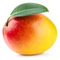 mango-01